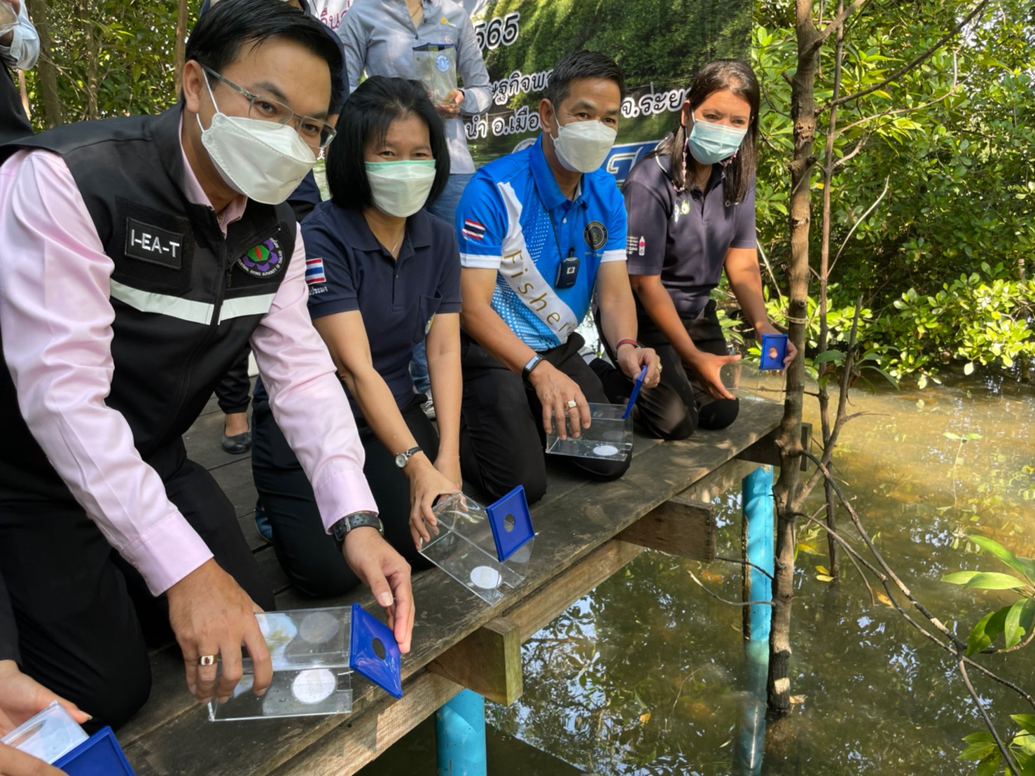 ปล่อยปูทะเลเพื่อฟื้นฟูสู่ธรรมชาติชายฝั่งทะเลระยอง