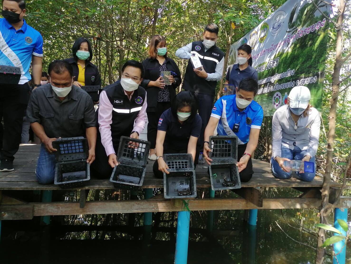ปล่อยปูทะเลเพื่อฟื้นฟูสู่ธรรมชาติชายฝั่งทะเลระยอง..คลิก