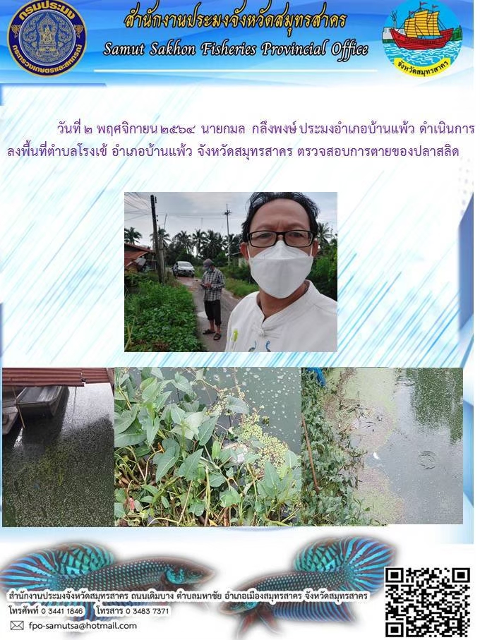 ลงพื้นที่ตรวจสอบการตายของปลาสลิด..คลิก