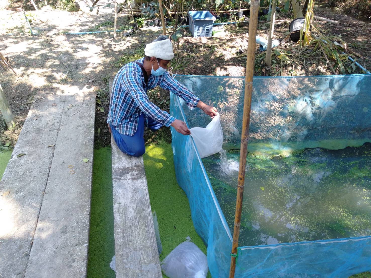 โครงการศูนย์เรียนรู้ การเพิ่มประสิทธิภาพการผลิตสินค้าเกษตร (ศพก.) ประจำปีงบประมาณ 2565..คลิก
