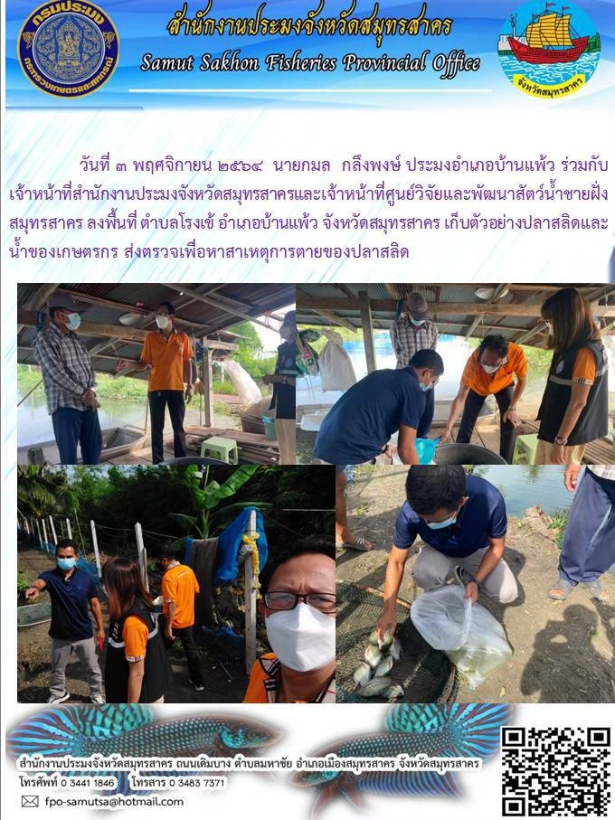 ลงพื้นที่ตรวจสอบการตายของปลาสลิด..คลิก