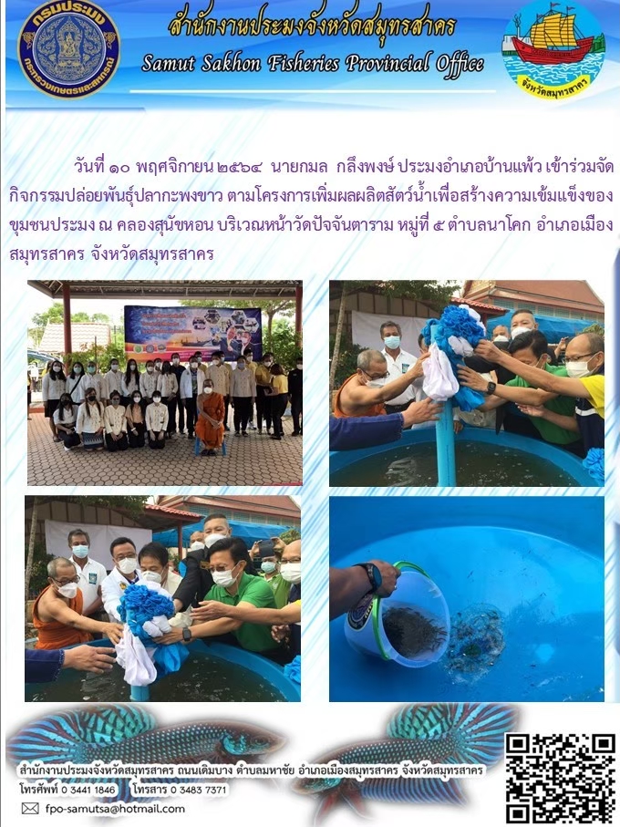 ร่วมกิจกรรมปล่อยพันธุ์ปลากะพงขาว..คลิก