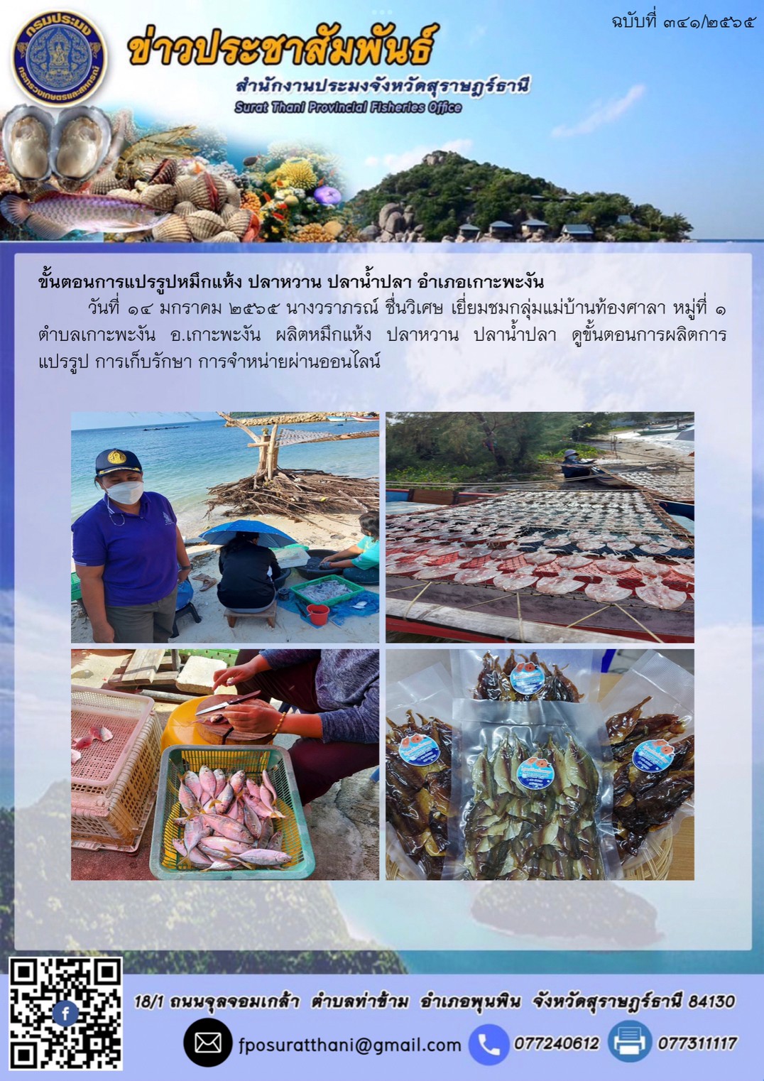 ขั้นตอนการแปรรูปหมึกแห้ง ปลาหวาน ปลาน้ำปลา อำเภอเกาะพะงัน..คลิก