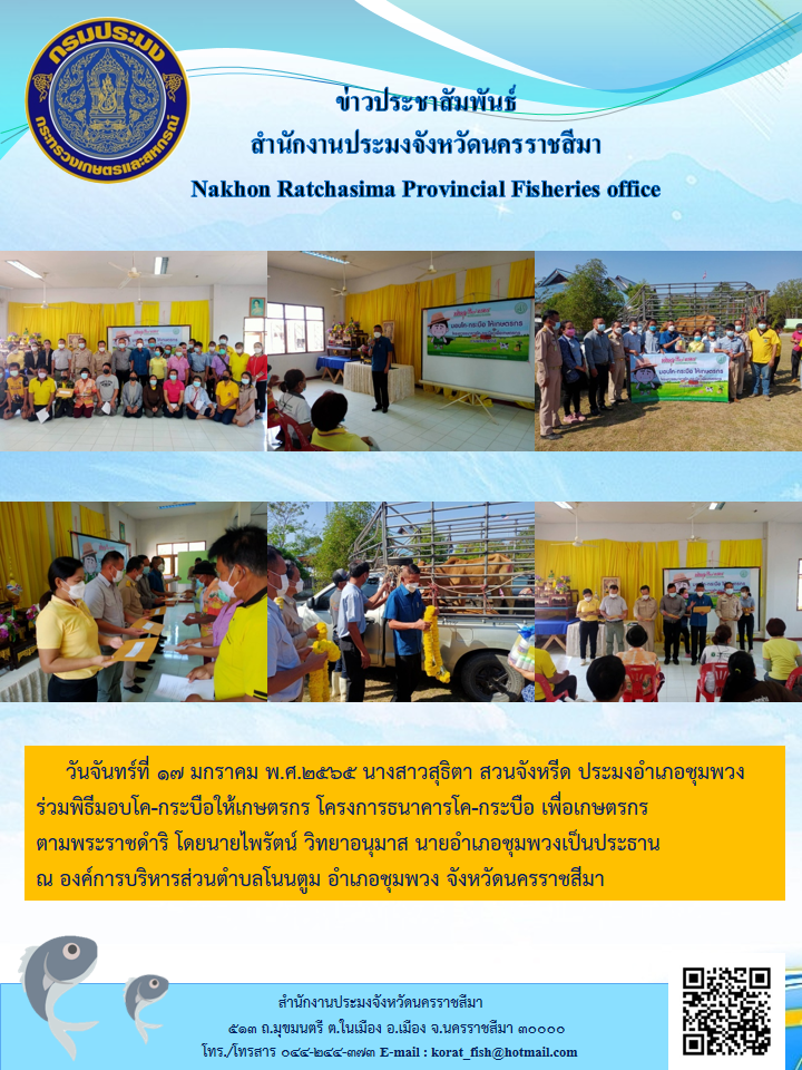ประมงอำเภอชุมพวงร่วมพิธีมอบโค-กระบือให้เกษตรกรโครงการธนาคารโค-กระบือเพื่อเกษตรกรตามพระราชดำริ..คลิก