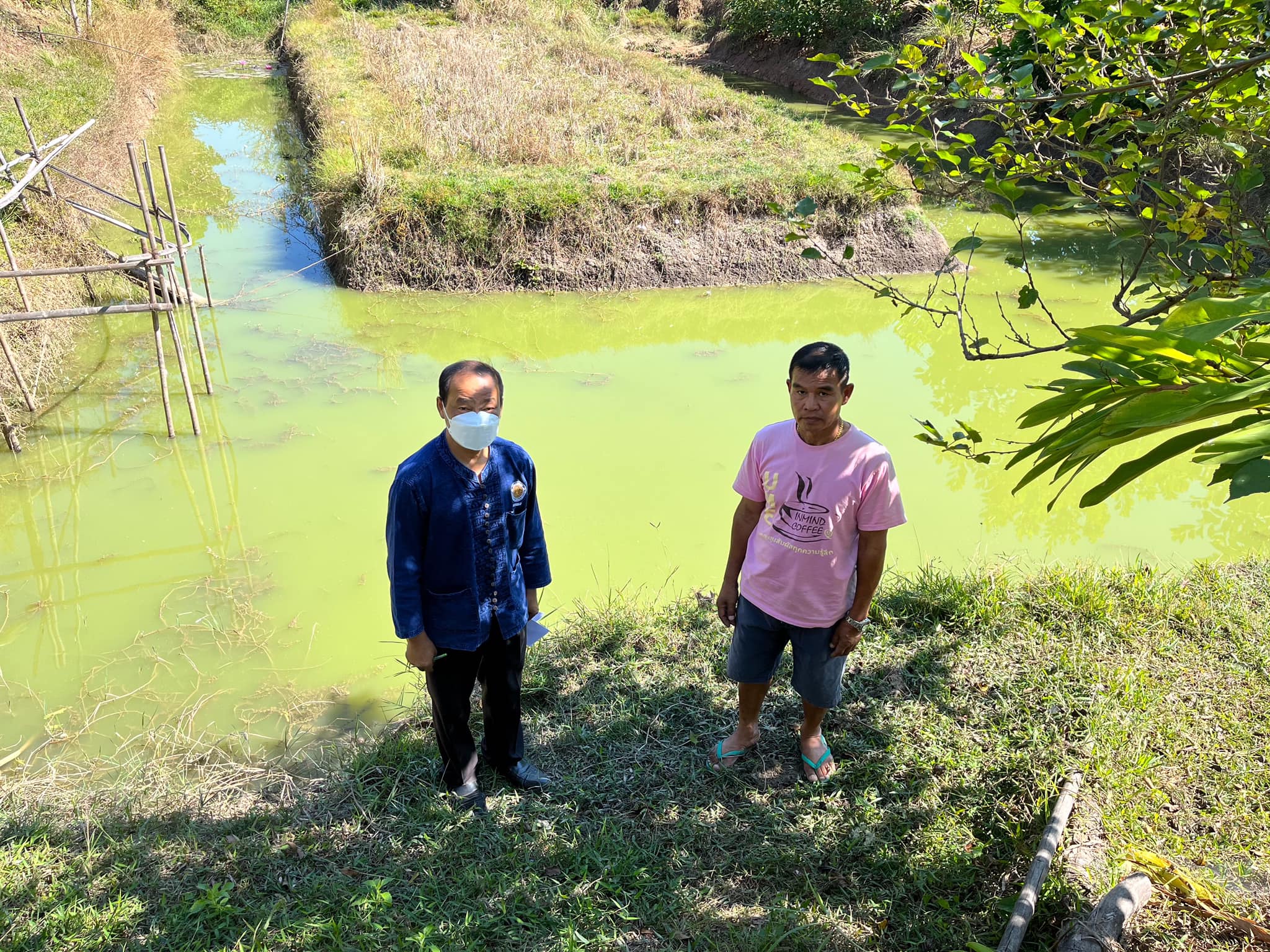 โครงการระบบส่งเสริมเกษตรแบบแปลงใหญ่เพาะเลี้ยงปลานิลในกระชังในแม่น้ำโขงหนองเทา-พนอม..คลิก