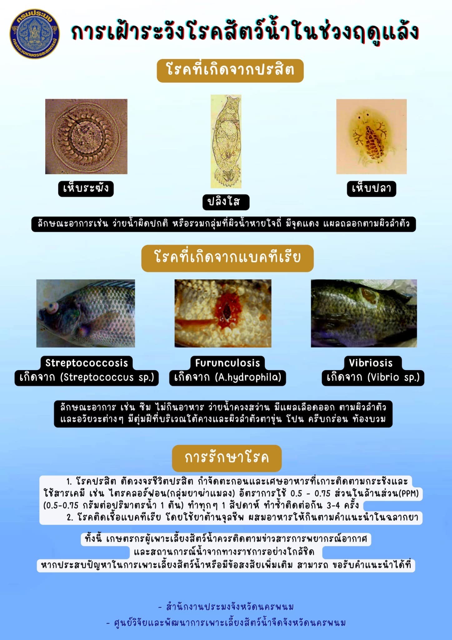 ประชาสัมพันธ์ ข้อควรปฏิบัติการเลี้ยงสัตว์น้ำในฤดูแล้ง..คลิก