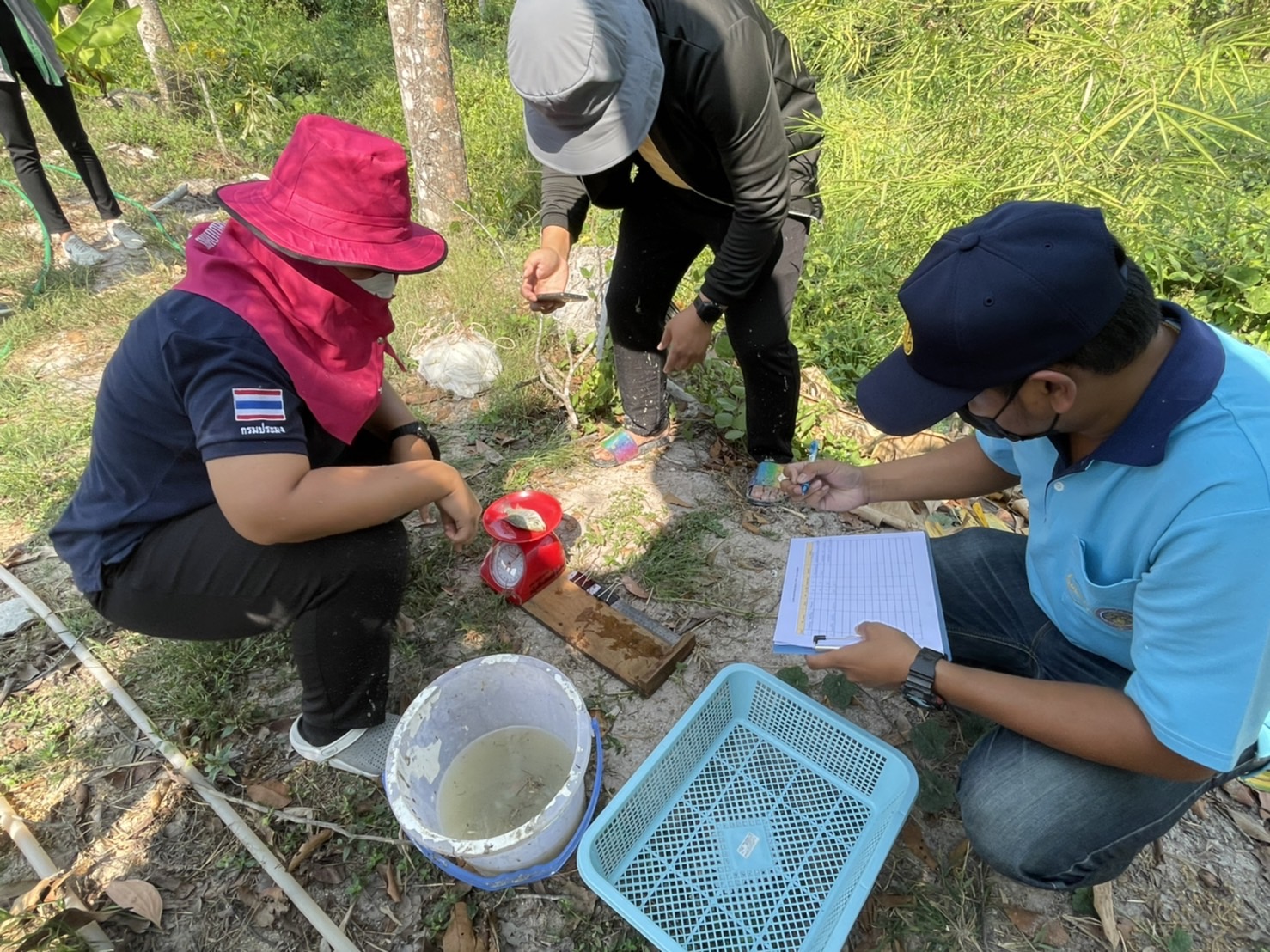 ตรวจติดตามประเมินผลการดำเนินโครงการของเกษตรกรที่เข้าร่วมโครงการ 1 ตำบล 1 กลุ่มเกษตรทฤษฎีใหม่ จังหวัดระยอง..คลิก