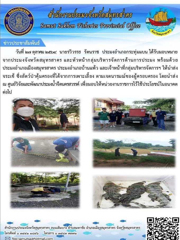 นำส่งจระเข้ ซึ่งสัตว์ป่าคุ้มครองที่ได้จากการเพาะเลี้ยง ตามเจตนารมณ์ของผู้ครอบครอง