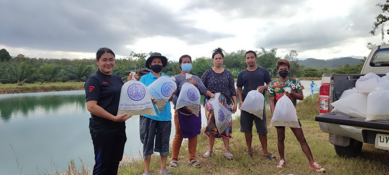 สนับสนุนพันธุ์ปลากินพืช เพื่อปล่อยลงสู่ห้วยวังพระ อำเภอเขาชัยสน จังหวัดพัทลุง..คลิก