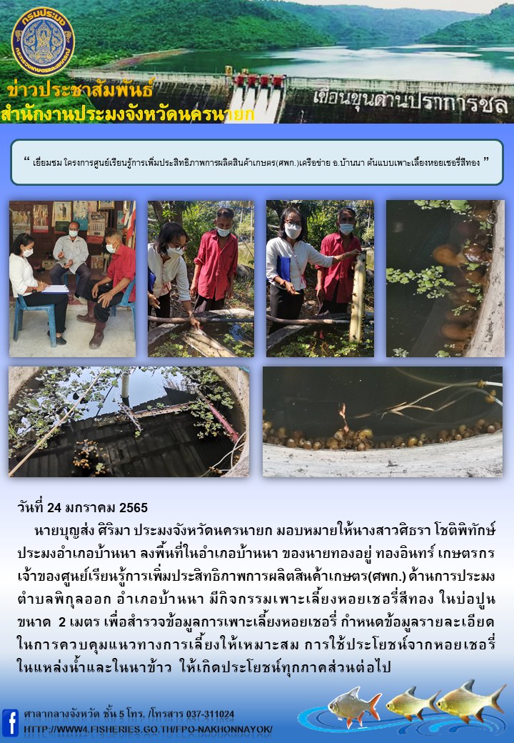 เยี่ยมชม โครงการศูนย์เรียนรู้การเพิ่มประสิทธิภาพการผลิตสินค้าเกษตร(ศพก.)เครือข่าย อ.บ้านนา ต้นแบบเพาะเลี้ยงหอยเชอรี่สีทอง..คลิก
