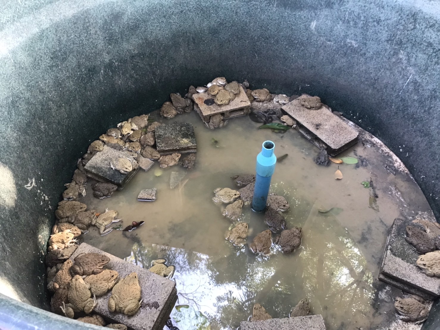 กิจกรรมประมงโรงเรียนภายใต้โครงการพระราชดำริ สมเด็จพระกนิษฐาธิราชเจ้า กรมสมเด็จพระเทพรัตนราชสุดาฯ สยามบรมราชกุมารี..คลิก