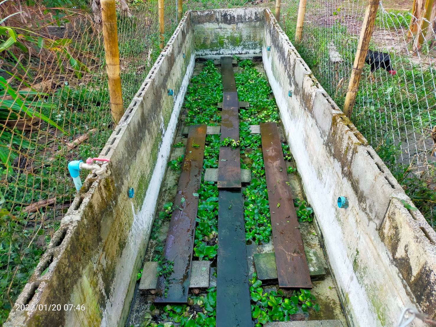 กิจกรรมประมงโรงเรียนภายใต้โครงการพระราชดำริ สมเด็จพระกนิษฐาธิราชเจ้า กรมสมเด็จพระเทพรัตนราชสุดาฯ สยามบรมราชกุมารี..คลิก