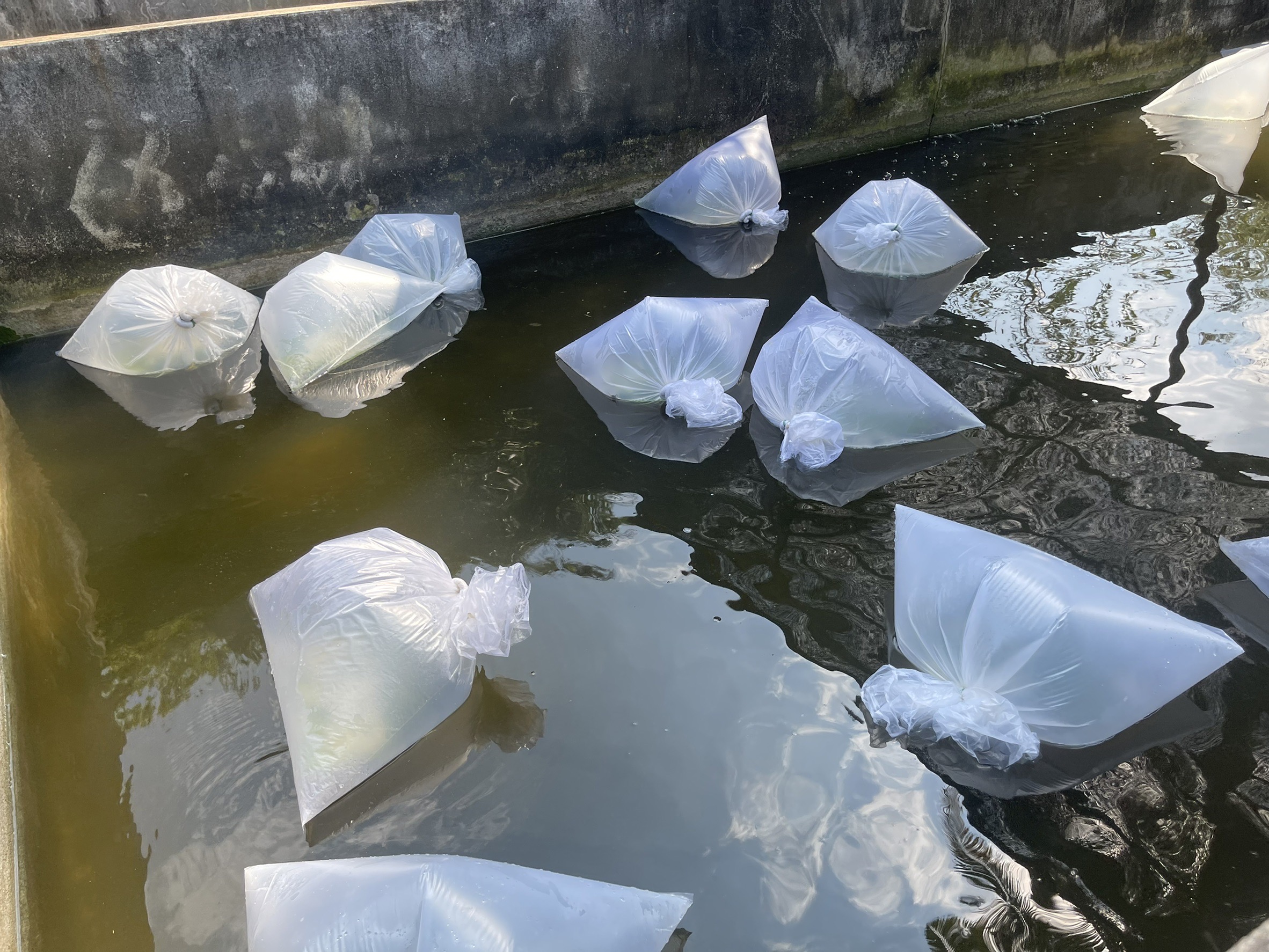 กิจกรรมประมงโรงเรียนภายใต้โครงการพระราชดำริ สมเด็จพระกนิษฐาธิราชเจ้า กรมสมเด็จพระเทพรัตนราชสุดาฯ สยามบรมราชกุมารี..คลิก