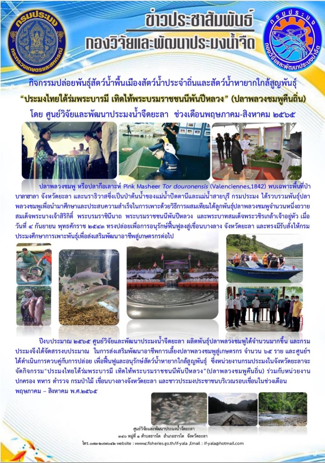 กิจกรรมปล่อยพันธุ์สัตว์น้ำพื้นเมือง สัตว์น้ำประจำถิ่น และสัตว์น้ำหายากใกล้สูญพันธุ์