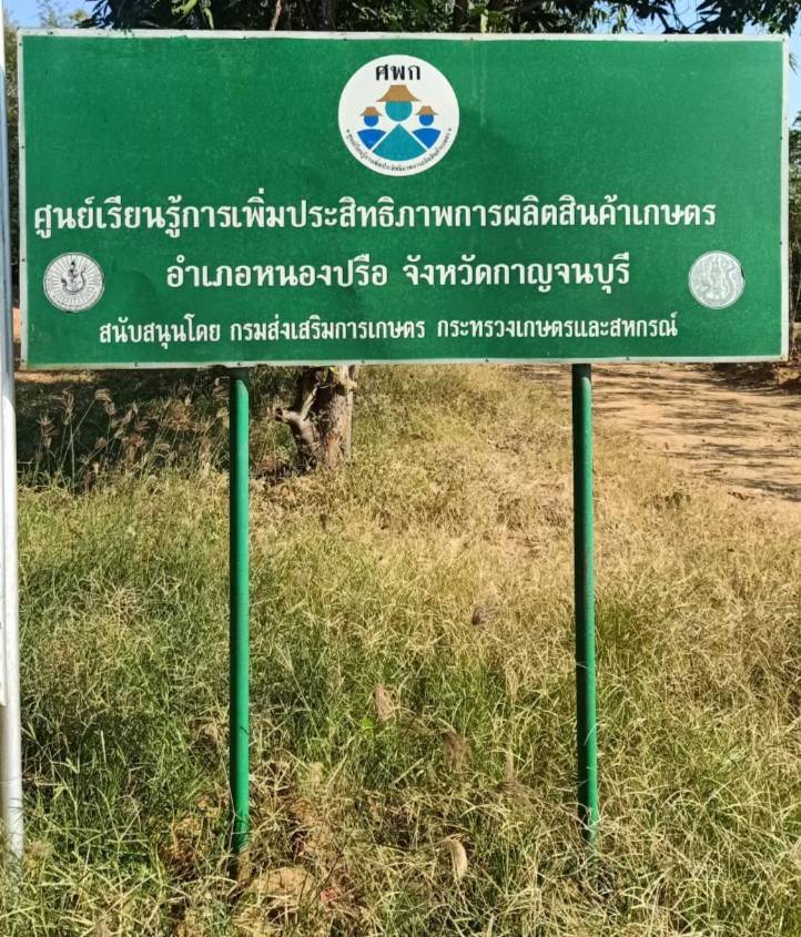 ศูนย์เรียนรู้การเพิ่มประสิทธิภาพการผลิตสินค้าเกษตร (ศพก.) อำเภอหนองปรือ..คลิก