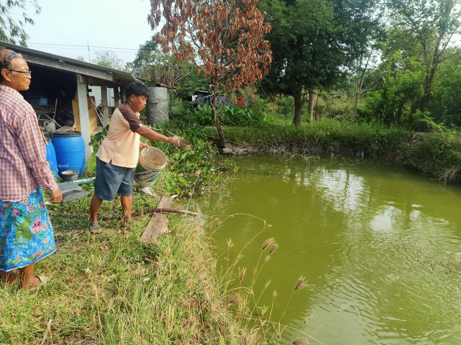 การปฏิบัติงานด้านประมง พื้นที่อำเภอหนองปรือ และอำเภอเลาขวัญ..คลิก