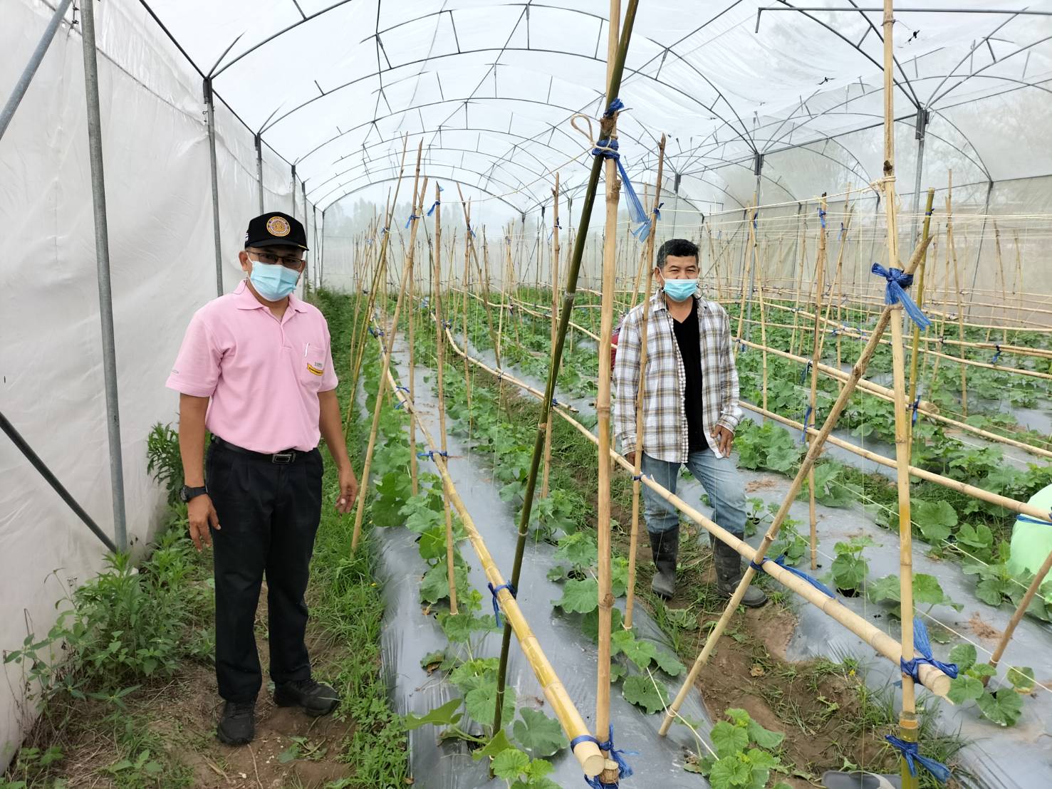 การปฏิบัติงานด้านประมง พื้นที่อำเภอหนองปรือ..คลิก