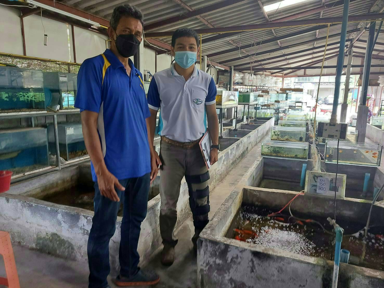 ดำเนินงานโครงการยกระดับคุณภาพมาตรฐานสินค้าเกษตร กิจกรรมพัฒนาคุณภาพสินค้าประมงสู่มาตรฐาน..คลิก