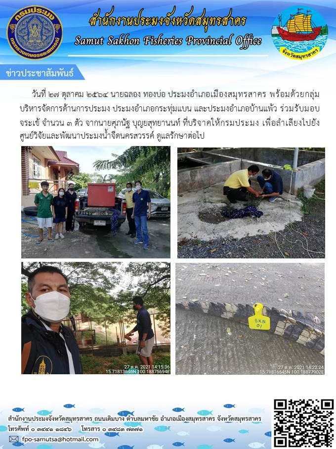 ร่วมรับมอบจระเข้ เพื่อลำเลียงไปยังศูนย์วิจัยและพัฒนาประมงน้ำจืดนครสวรรค์ ดูแลรักษา