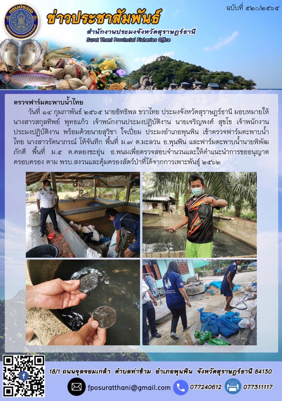 ตรวจฟาร์มตะพาบน้ำไทย..คลิก