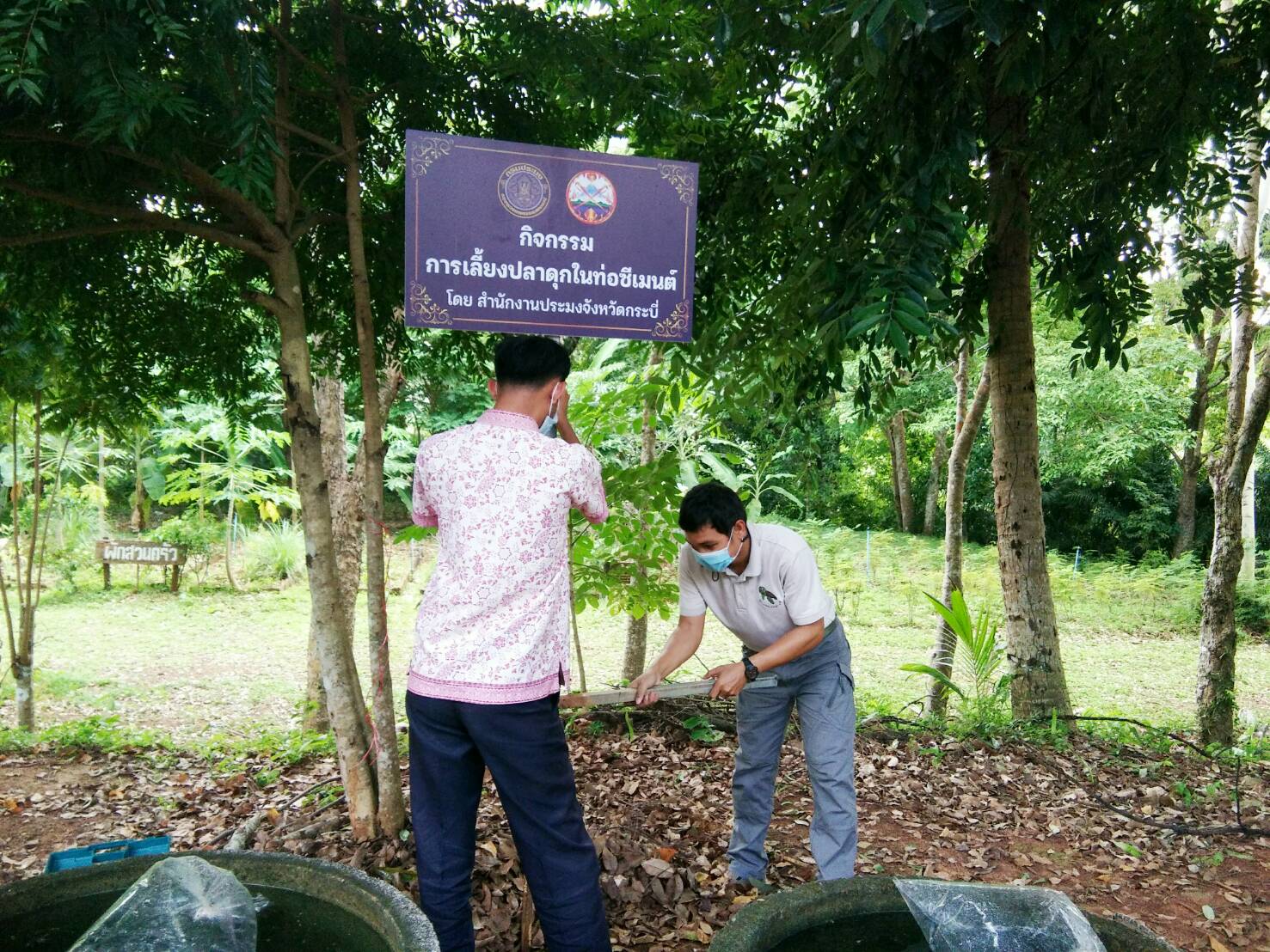 ปล่อยปลาดุกลงเลี้ยงในจุดสาธิต กิจกรรมการเลี้ยงปลาในท่อซีเมนต์ ณ จวนผู้ว่าราชการจังหวัดกระบี่..คลิก