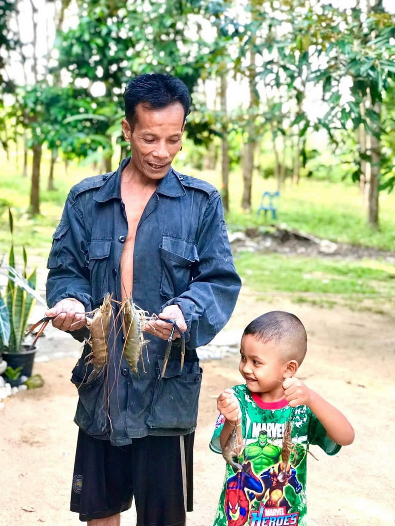 ผลผลิตจากการปล่อยพันธุ์กุ้งก้ามกราม ลงสู่คลองวงศ์ อำเภอศรีนครินทร์ จังหวัดพัทลุง..คลิก