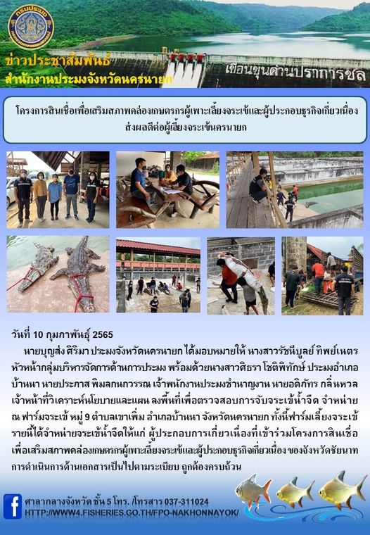 โครงการสินเชื่อเพื่อเสริมสภาพคล่องเกษตรกรผู้เพาะเลี้ยงจระเข้และผู้ประกอบธุรกิจเกี่ยวเนื่อง ส่งผลดีต่อผู้เลี้ยงจระเข้นครนายก..คลิก