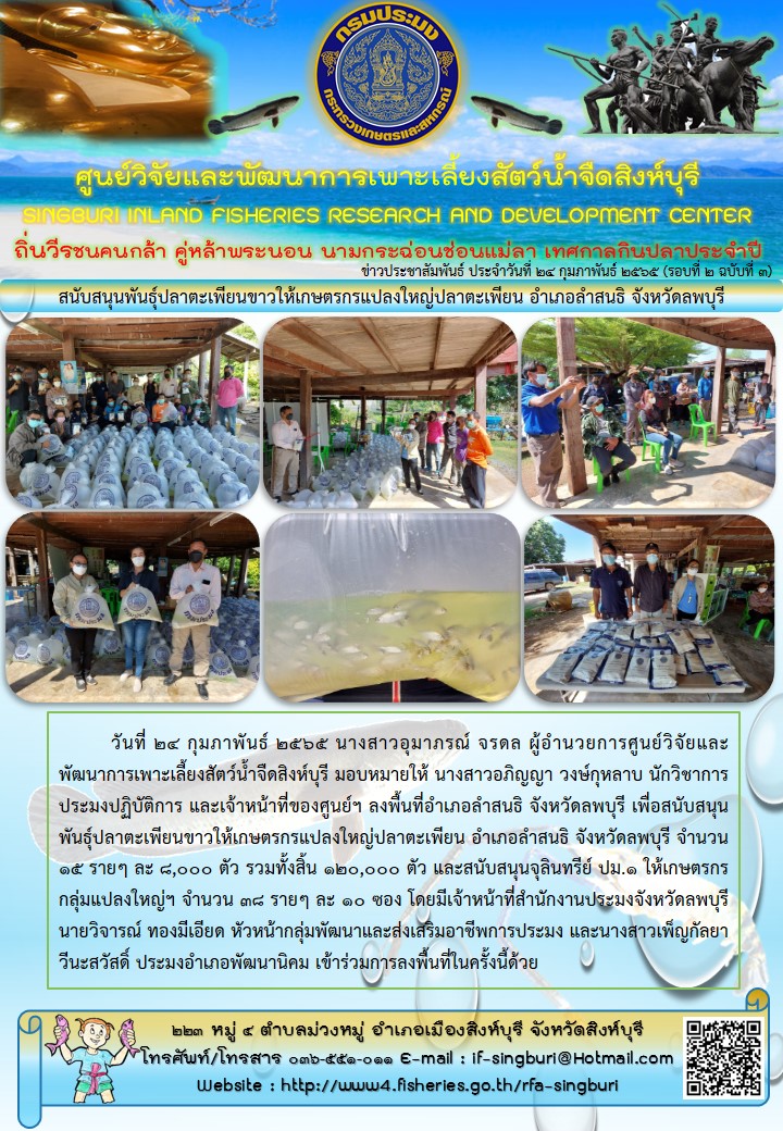 สนับสนุนพันธุ์ปลาตะเพียนขาวให้เกษตรกรแปลงใหญ่ปลาตะเพียน อำเภอลำสนธิ จังหวัดลพบุรี..คลิก