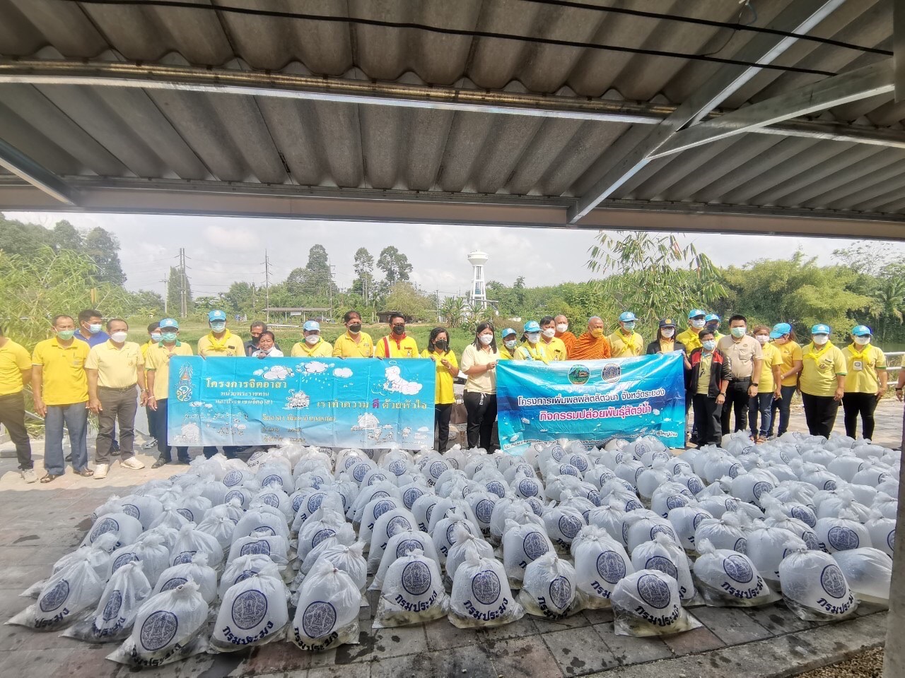 สำนักงานประมงจังหวัดระยอง ร่วมปล่อยพันธุ์สัตว์น้ำ ณ บริเวณท่าน้ำหน้าวัดกระแสร์คูหาสวรรค์ ต.กระแสบน อ.แกลง จ.ระยอง..คลิก