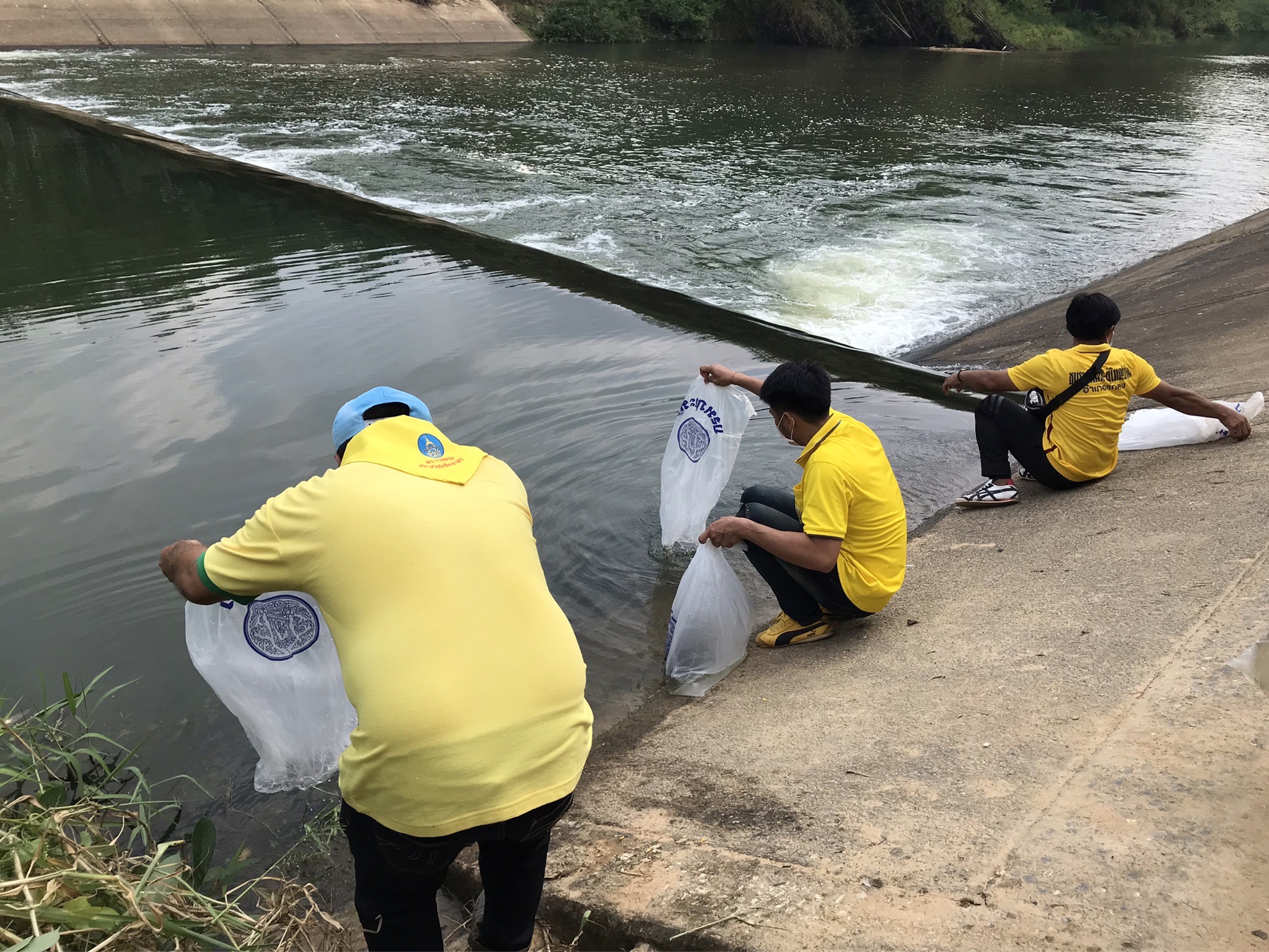สำนักงานประมงจังหวัดระยอง ร่วมปล่อยพันธุ์สัตว์น้ำ ณ บริเวณท่าน้ำหน้าวัดกระแสร์คูหาสวรรค์ ต.กระแสบน อ.แกลง จ.ระยอง