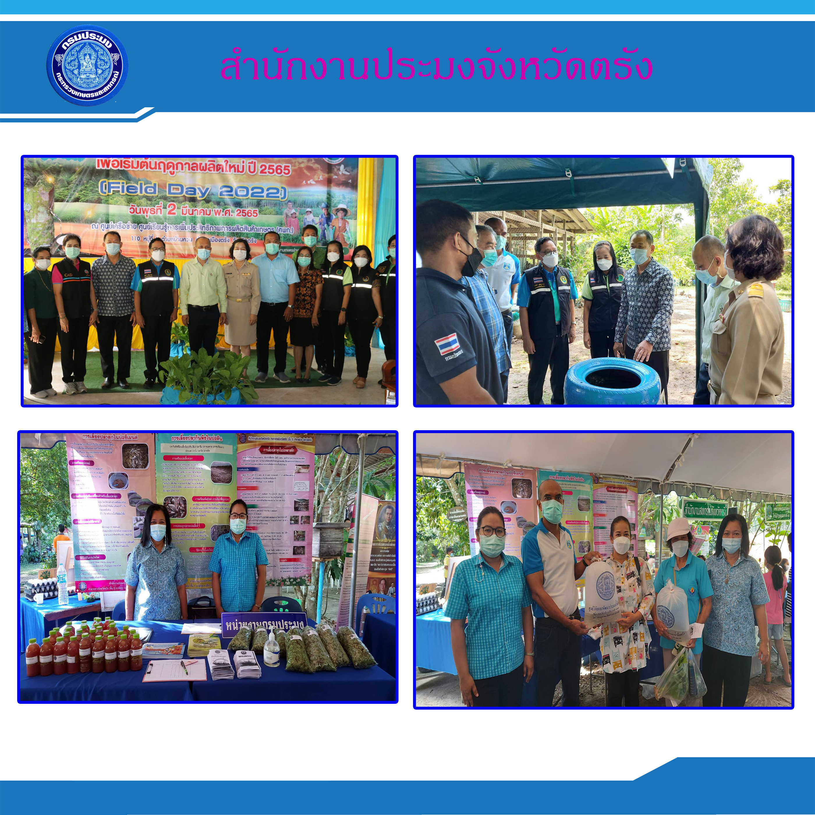 Field Day ..คลิก