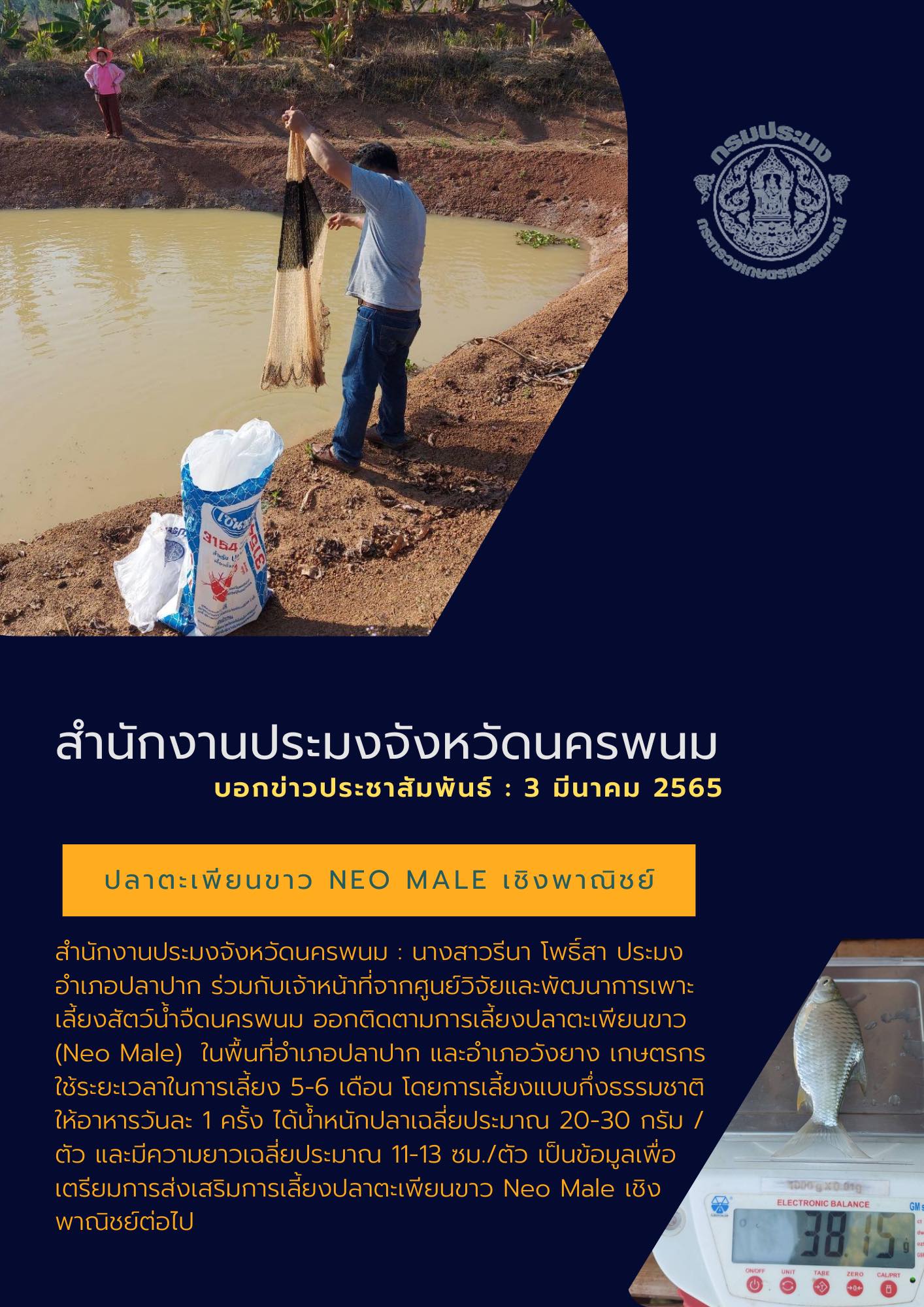 ติดตามการเลี้ยงปลาตะเพียนขาว NEO MALE เชิงพาณิชย์..คลิก