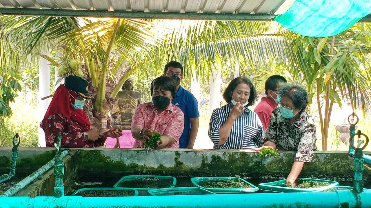 นำเกษตรกรผู้สนใจในการเพาะเลี้ยงสาหร่ายขนนก ลงพื้นที่ศึกษาดูงาน ณ.ศูนย์เรียนรู้โครงการชุมชนต้นแบบการเพาะเลี้ยงสาหร่ายขนนกอย่างยั่งยืน..คลิก