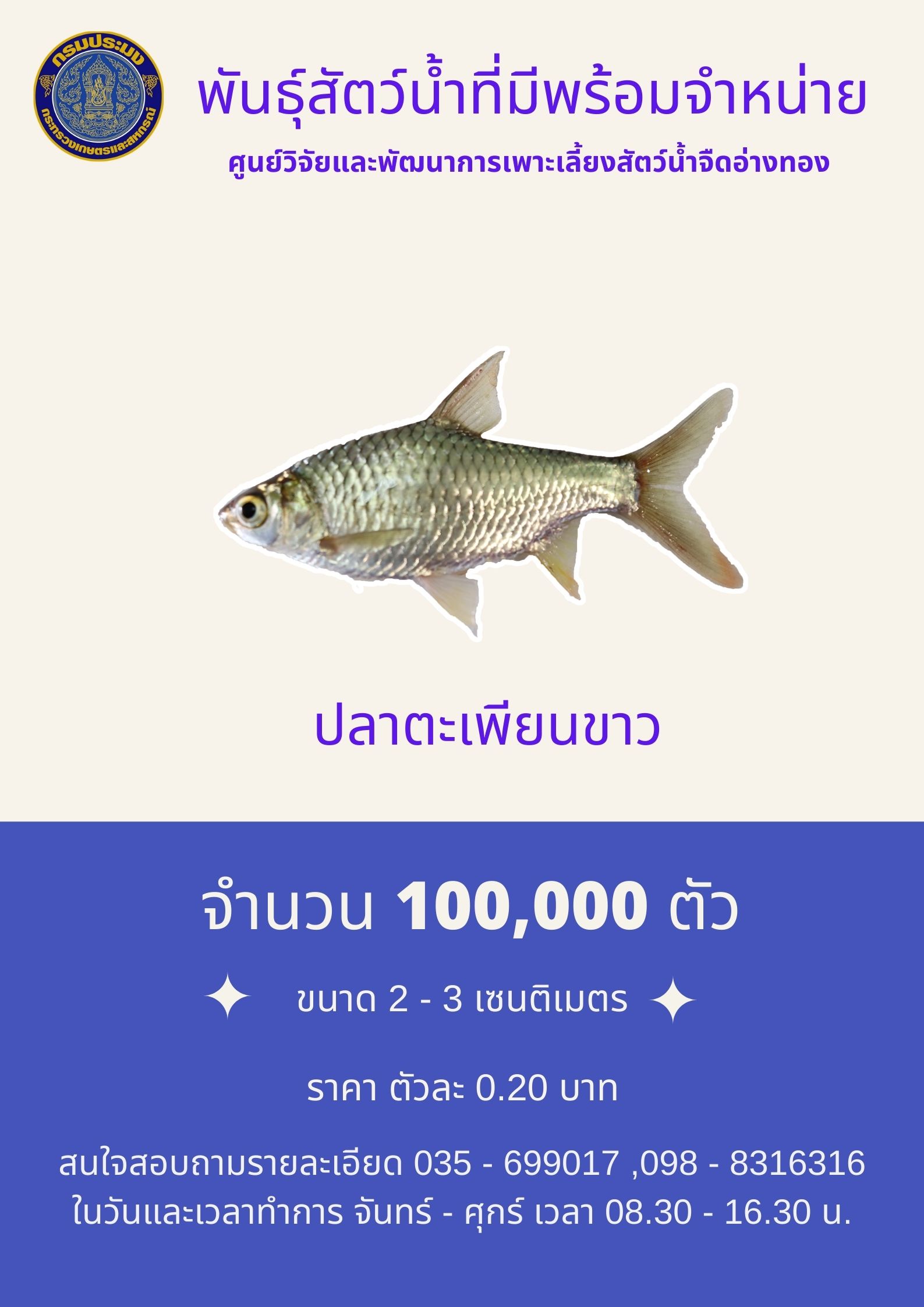 พันธุ์สัตว์น้ำพร้อมจำหน่าย ปลาตะเพียนขาว..คลิก