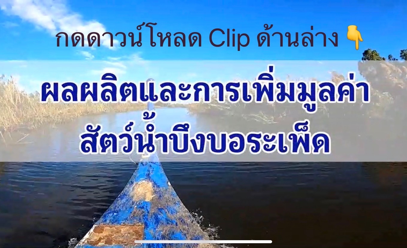 ผลผลิตและการเพิ่มมูลค่าสัตว์น้ำบึงบอระเพ็ด..คลิก