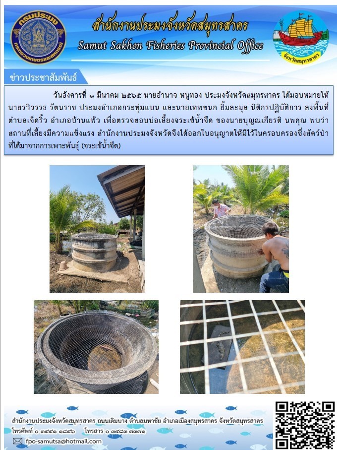 ลงพื้นที่ตรวจสอบบ่อเลี้ยงจระเข้น้ำจืด