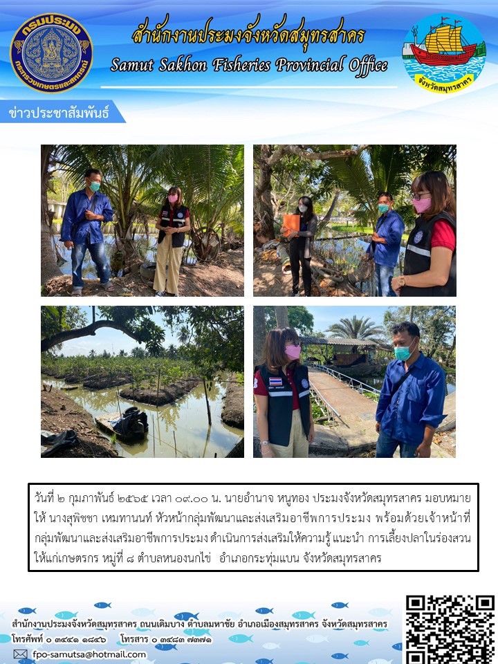 ดำเนินการส่งเสริมให้ความรู้ แนะนำ  การเลี้ยงปลาในร่องสวน ให้แก่เกษตรกร 