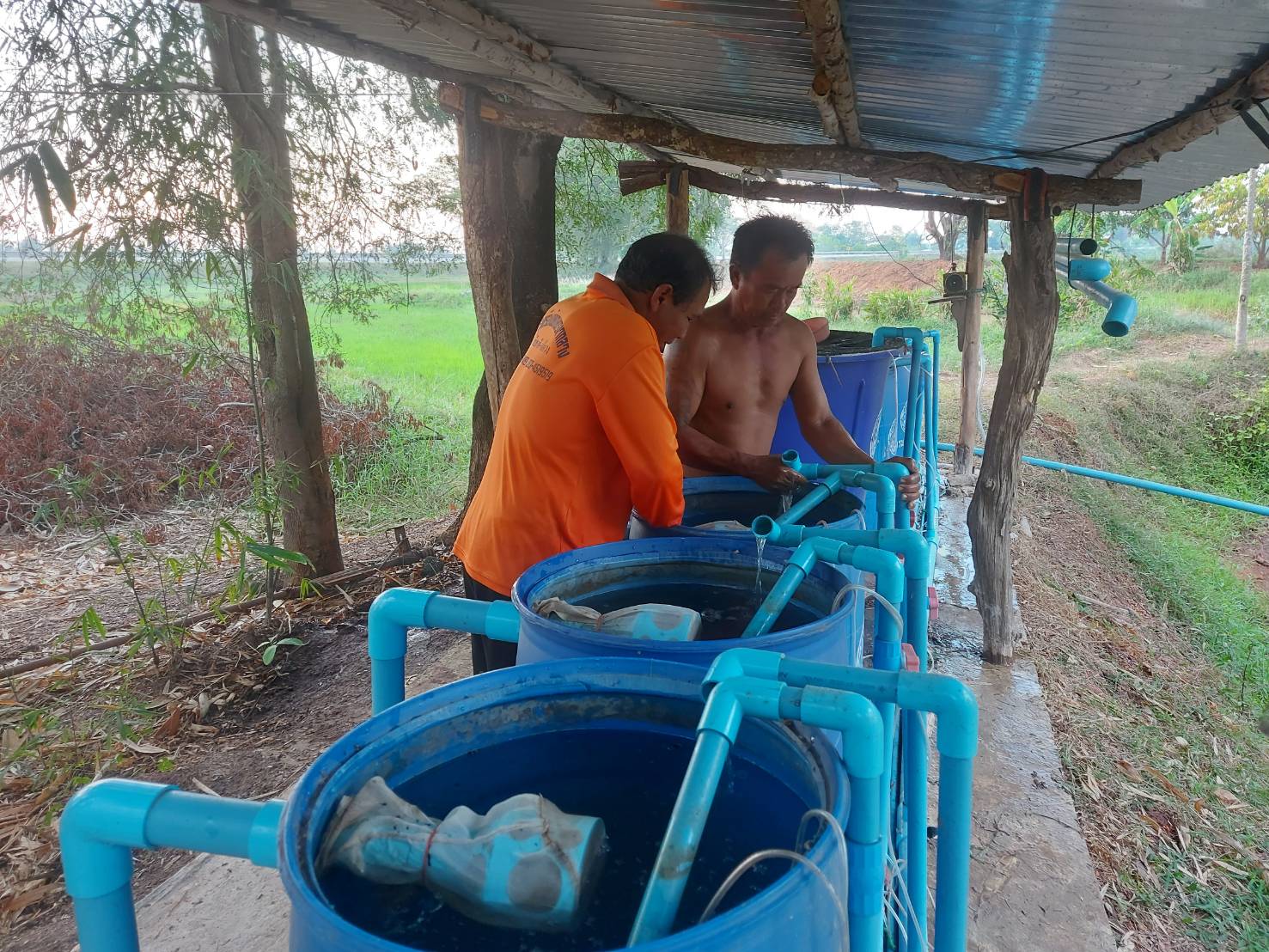 วันที่ 17 มีนาคม 2565 นายเมธา ตาลเหล็ก ประมงอำเภอนากลาง ปฏิบัติงานติดตามการจับผลผลิตและการจำหน่ายผลผลิตสินค้าของแปลงใหญ่ปลาตะเพียนขาว (แปลงปี 2564)..คลิก