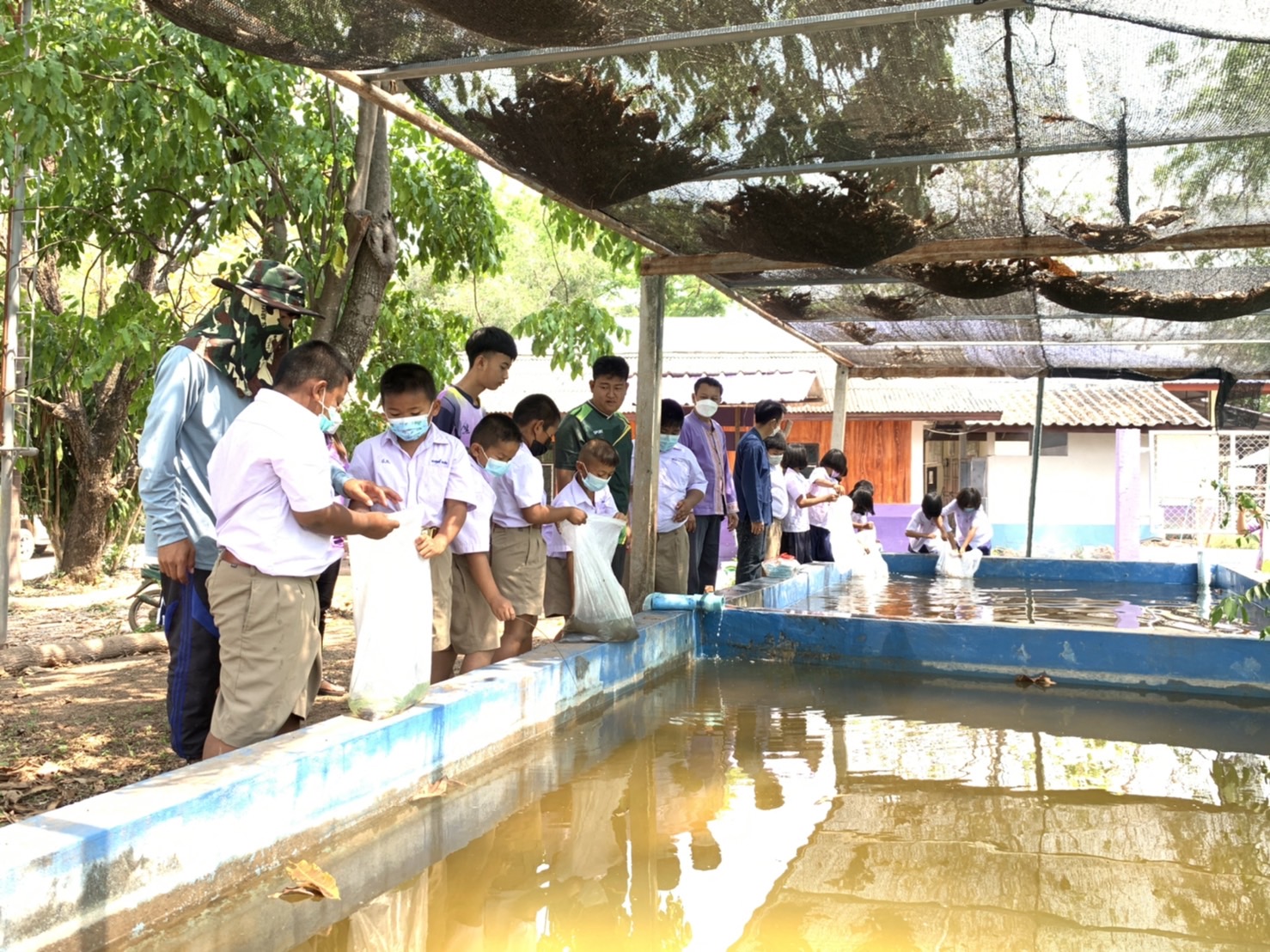 วันที่ 18 มีนาคม 2565 นายวิทยา ประเสริฐสังข์ ประมงอำเภอโนน ส่งมอบปัจจัยการผลิต กิจกรรมประมงโรงเรียน (สนับสนุนพันธุ์สัตว์น้ำ)..คลิก