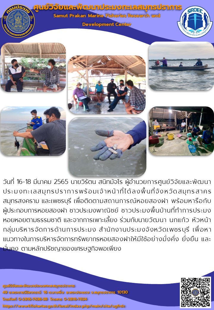นายวิรัตน สนิทมัจโร ผู้อำนวยการศูนย์วิจัยและพัฒนาประมงทะเลสมุทรปราการพร้อมเจ้าหน้าที่ได้ลงพื้นที่จังหวัดสมุทรสาคร สมุทรสงคราม และเพชรบุรี เพื่อติดตามสถานการณ์หอยสองฝา..คลิก