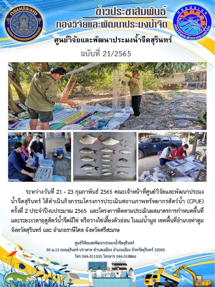 ข่าวประชาสัมพันธ์ ปักหลัง กุมภาพันธ์ 2565..คลิก