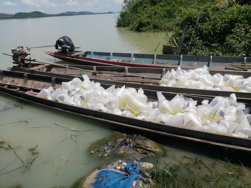 ปล่อยพันธุ์กุ้งก้ามกราม ลงสู่ทะเลสาบสงขลา พื้นที่จังหวัดพัทลุง..คลิก