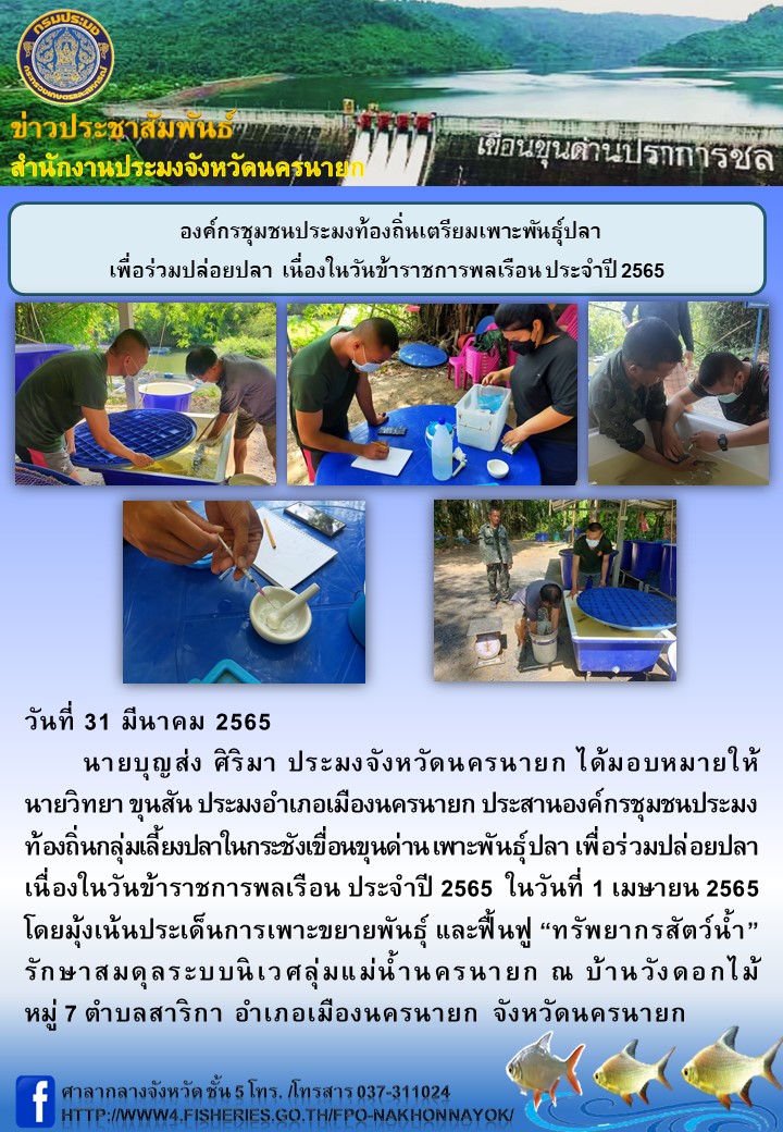 องค์กรชุมชนประมงท้องถิ่นเตรียมเพาะพันธุ์ปลา เพื่อร่วมปล่อยปลา  เนื่องในวันข้าราชการพลเรือน ประจำปี 2565..คลิก