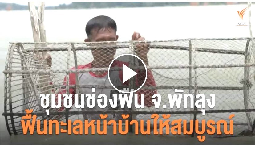 ฟื้นทะเลหน้าบ้านให้อุดมสมบูรณ์ของพื้นที่ชายฝั่ง บ้านชุมชนช่องฟืน อ.ปากพะยูน จ.พัทลุง..คลิก