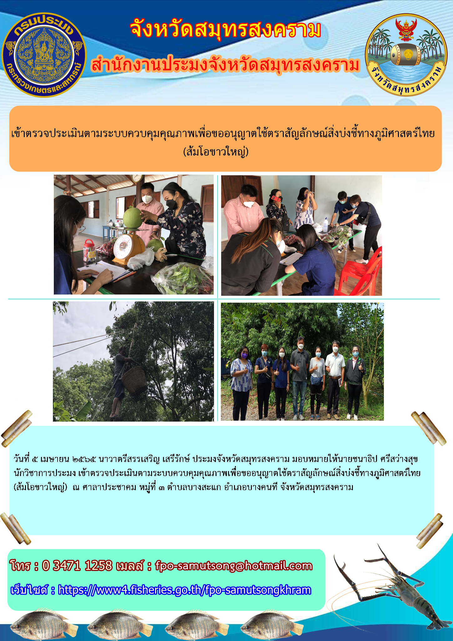 เข้าตรวจประเมินตามระบบควบคุมคุณภาพเพื่อขออนุญาตใช้ตราสัญลักษณ์สิ่งบ่งชี้ทางภูมิศาสตร์ไทย(ส้มโอขาวใหญ่)..คลิก