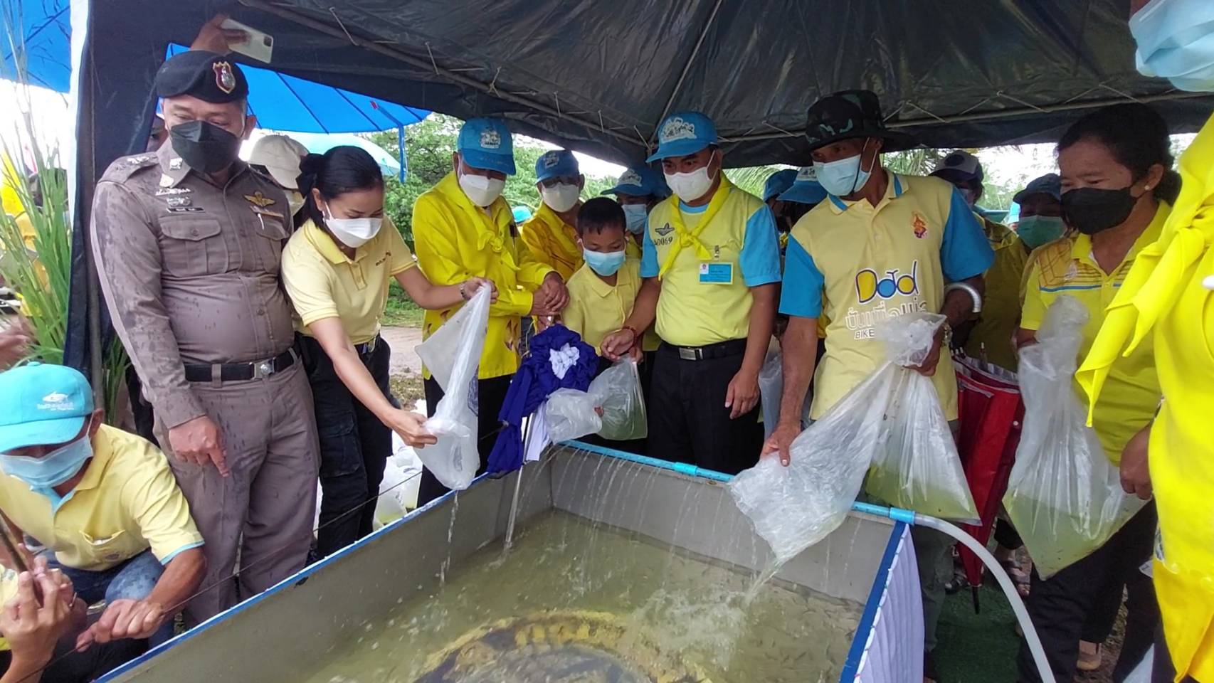 ประมงจังหวัดพัทลุง ร่วมพิธีปล่อยพันธุ์สัตว์น้ำ ภายใต้กิจกรรมจิตอาสา..คลิก