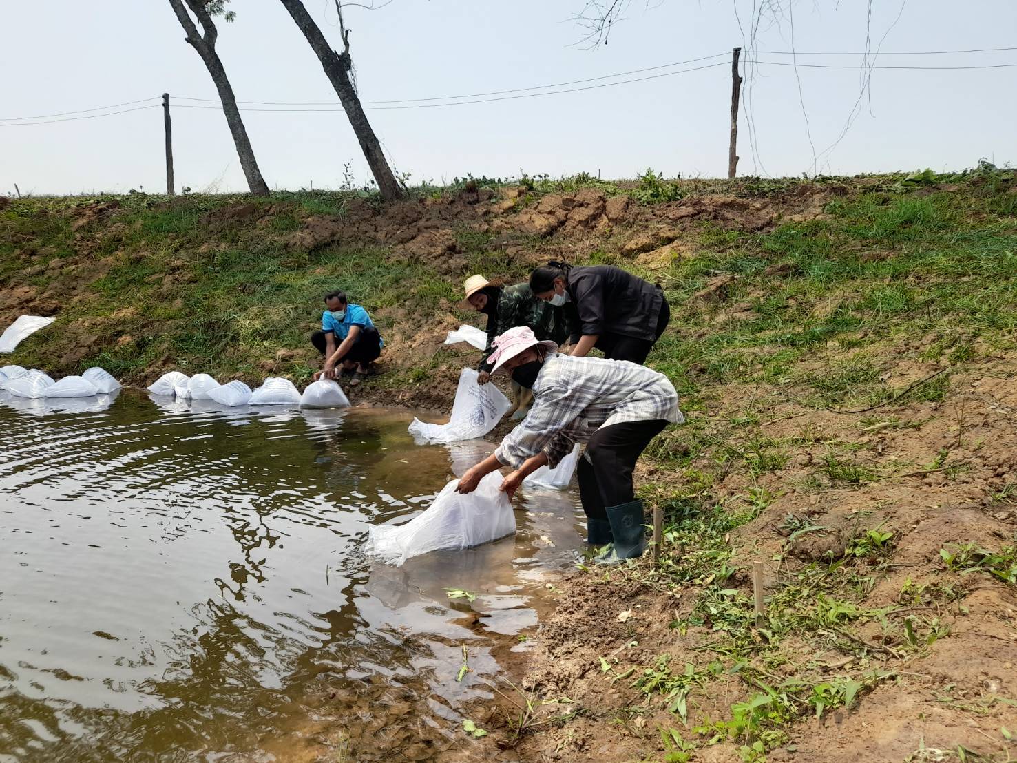 วันที่ 8 เมษายน 2565 กิจกรรมสนับสนุนธนาคารผลผลิตสัตว์น้ำแบบมีส่วนร่วม แหล่งน้ำห้วยกระทอ (แหล่งน้ำใหม่ ปี2565)..คลิก