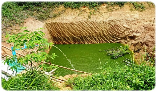 การเข้าเยี่ยมฟาร์มของเกษตรกรผู้เพาะเลี้ยงสัตว์น้ำจืด..คลิก