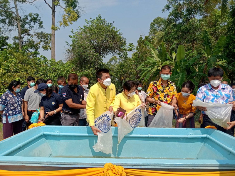 ร่วมปล่อยพันธุ์ปลาตะเพียน ลงสู่แม่น้ำปากพนัง อ.เชียรใหญ่ จ.นครศรีธรรมราช..คลิก