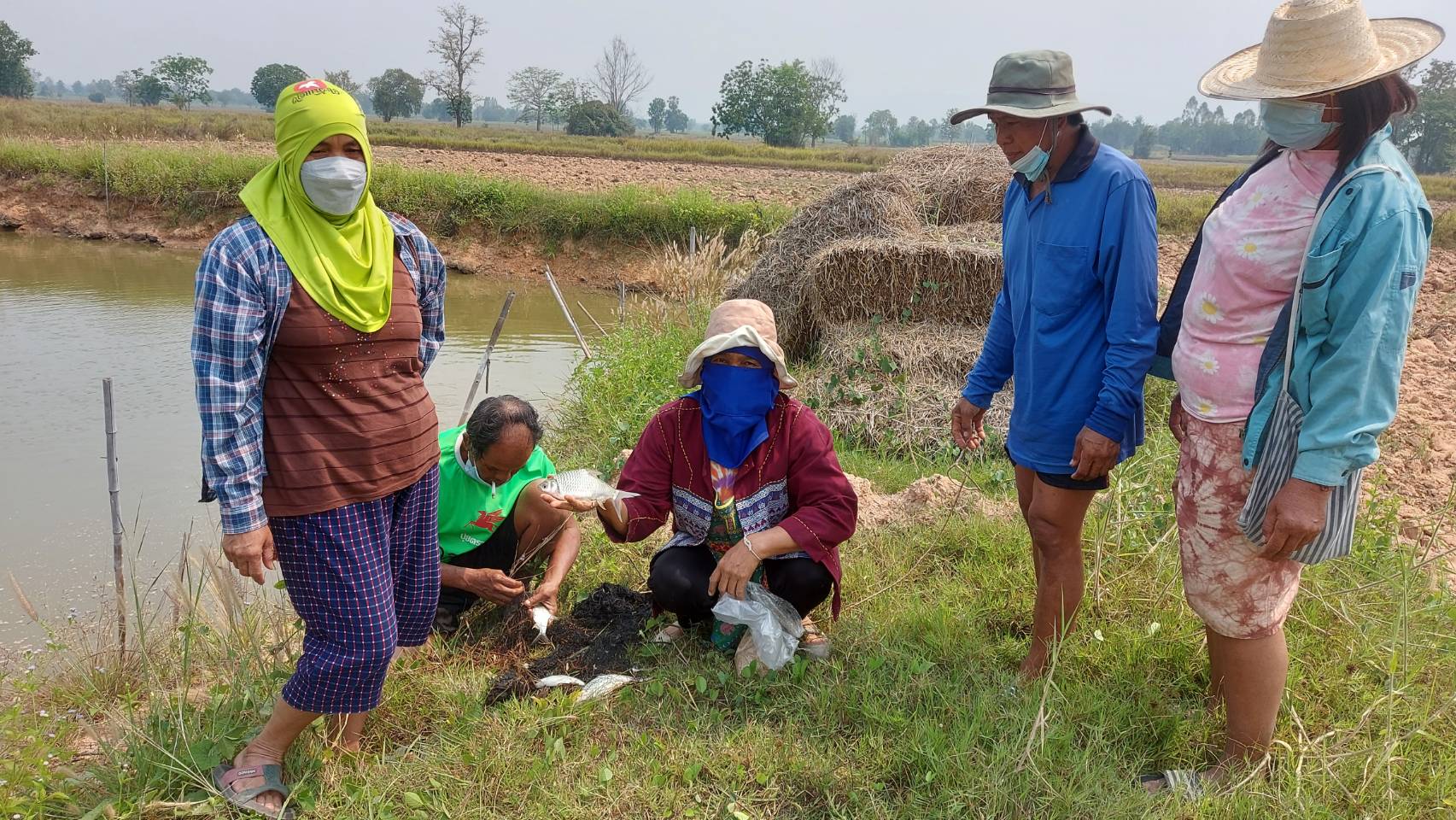 วันที่ 11 เมษายน 2565 นางสาวมลฤดี ลิ้มสุวรรณ ประมงอำเภอศรีบุญเรือง ติดตามประเมินผลผลิตสัตว์น้ำของเกษตรกรที่เข้าร่วมโครงการส่งเสริมอาชีพประมง..คลิก